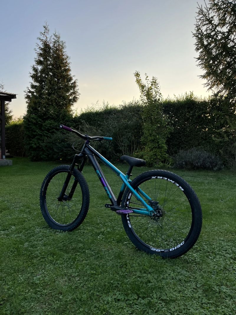 CTM DIRTKING EXPERT (2021)