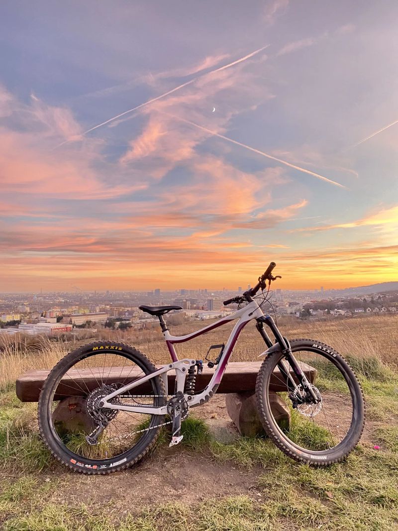 Giant reign sx