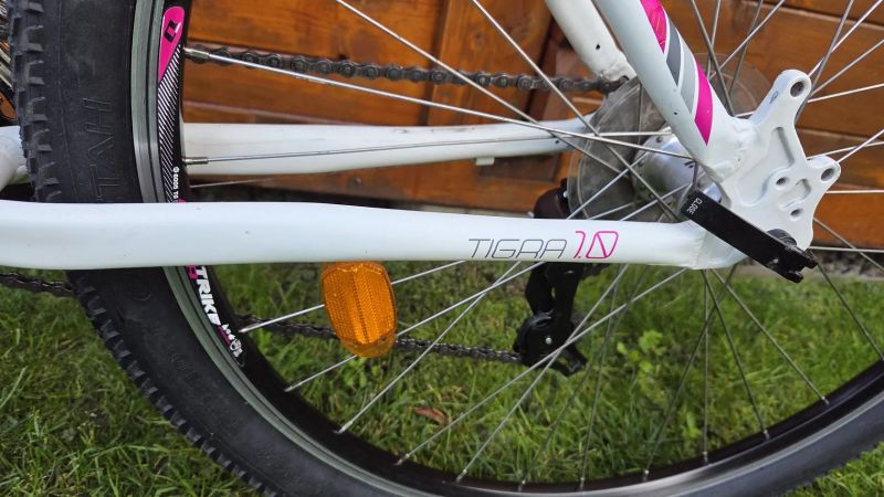 Dema Tigra