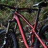 Canyon Spectral