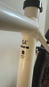 Trek Domane 3 + trenažér