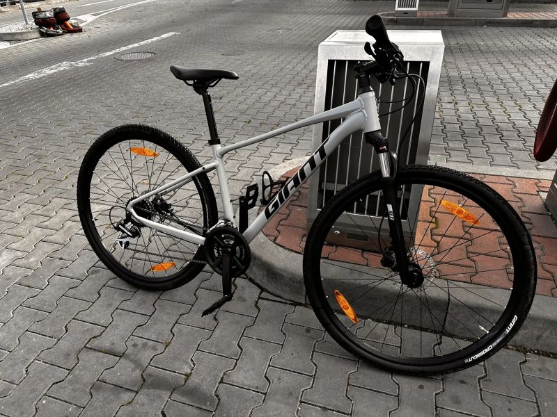 Giant Roam 3
