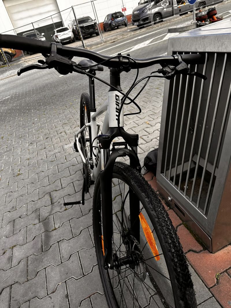 Giant Roam 3
