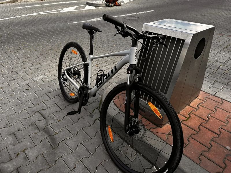 Giant Roam 3