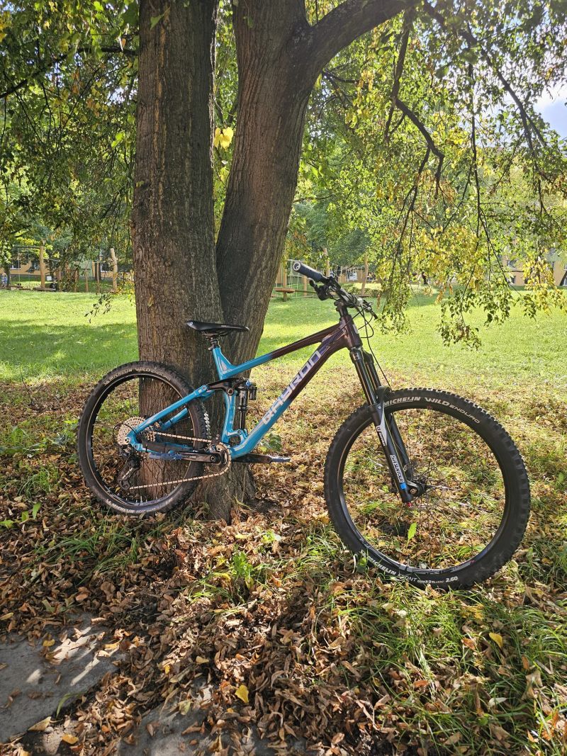 Qayron Carma MkII En 1f 27.5