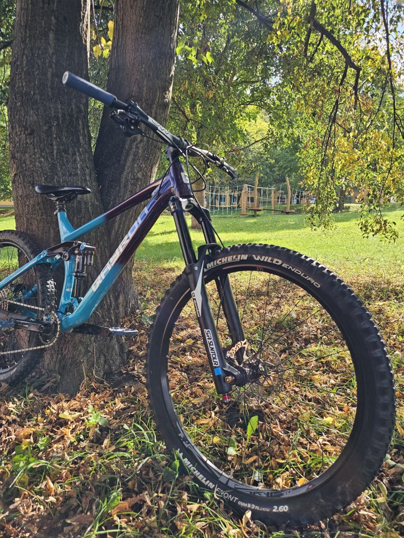 Qayron Carma MkII En 1f 27.5