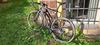 Canyon Ultimate CF SL Disc 8.0