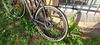 Canyon Ultimate CF SL Disc 8.0