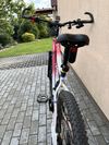 Nadstandardně vybavené Crussis E-Largo 9.5