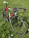 Pells Speedy Tiagra vel. L