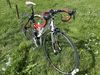 Pells Aeron 105