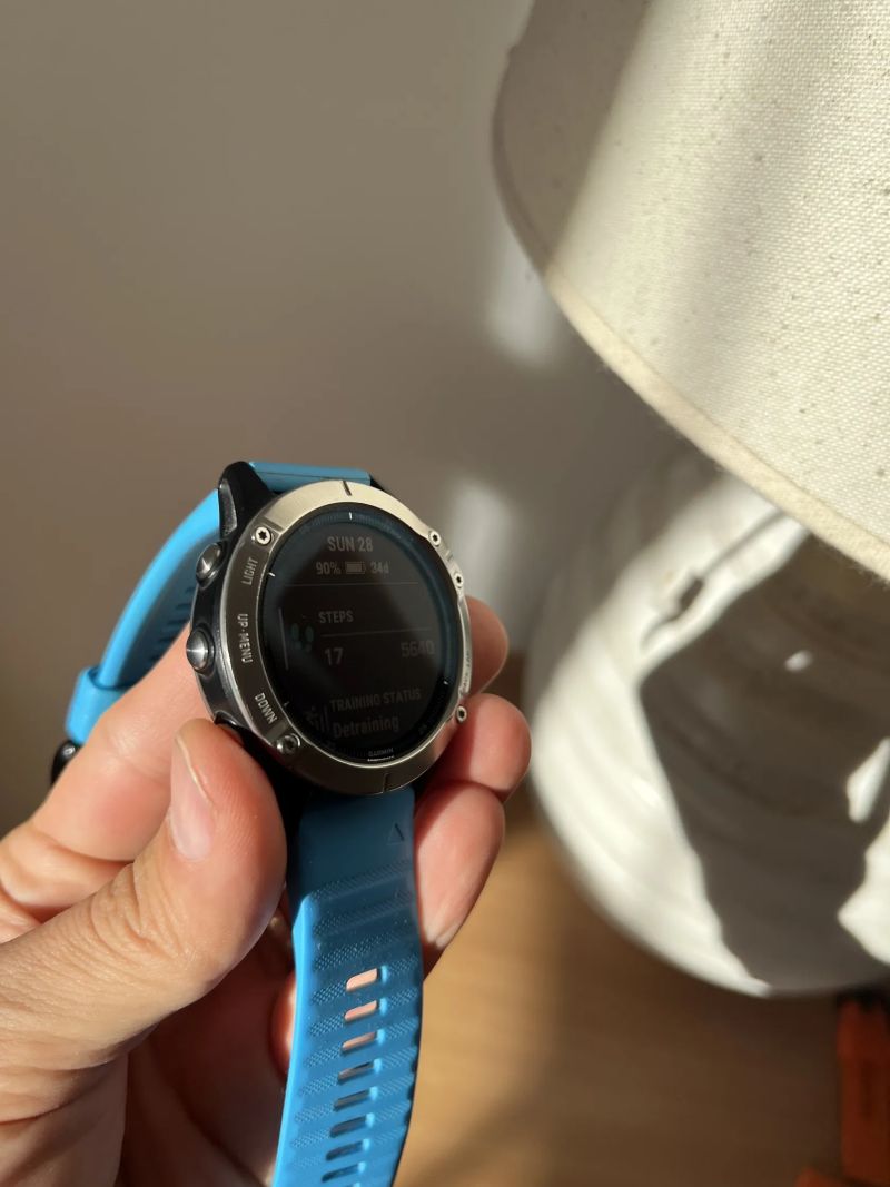 Garmin Fenix 6