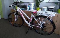 Crussis E-Savela 1.3