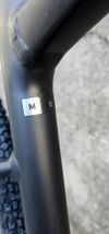 Giant Revolt O Gravel Bike M