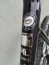 Giant TCX