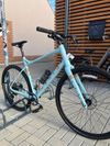 Marin DSX