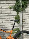 Giant Trance 29 1 2019 L