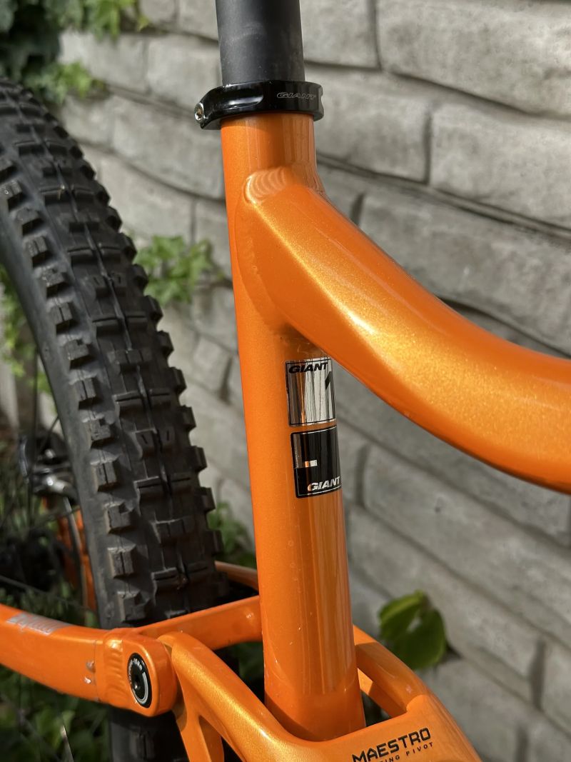 Giant Trance 29 1 2019 L