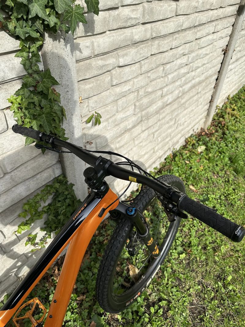 Giant Trance 29 1 2019 L
