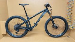 Dartmoor Hornet 2022