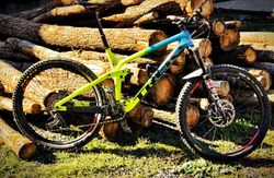 Trek remedy 9.7