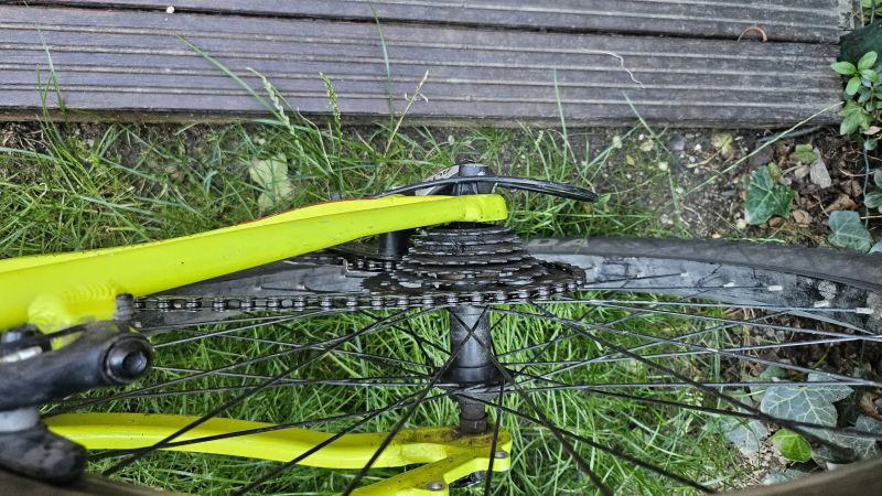 Orbea MX 24 TEAM