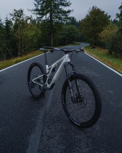 Specialized Stumpjumper EVO