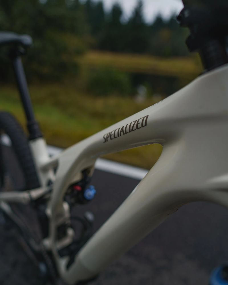 Specialized Stumpjumper EVO