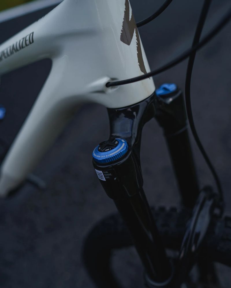 Specialized Stumpjumper EVO
