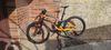 Trek Fuel ex 5