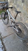 Ibis ripmo