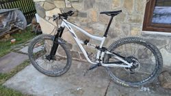 Ibis ripmo
