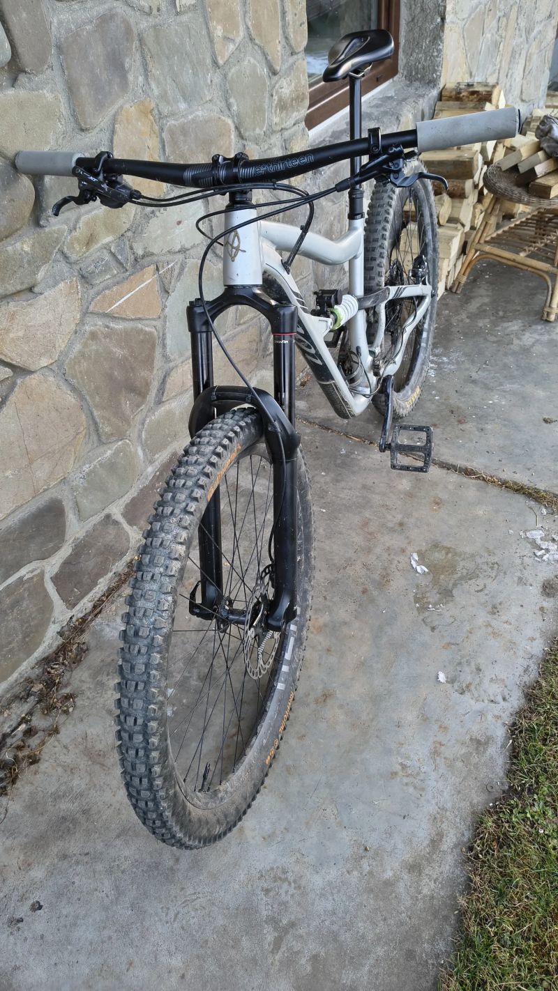 Ibis ripmo