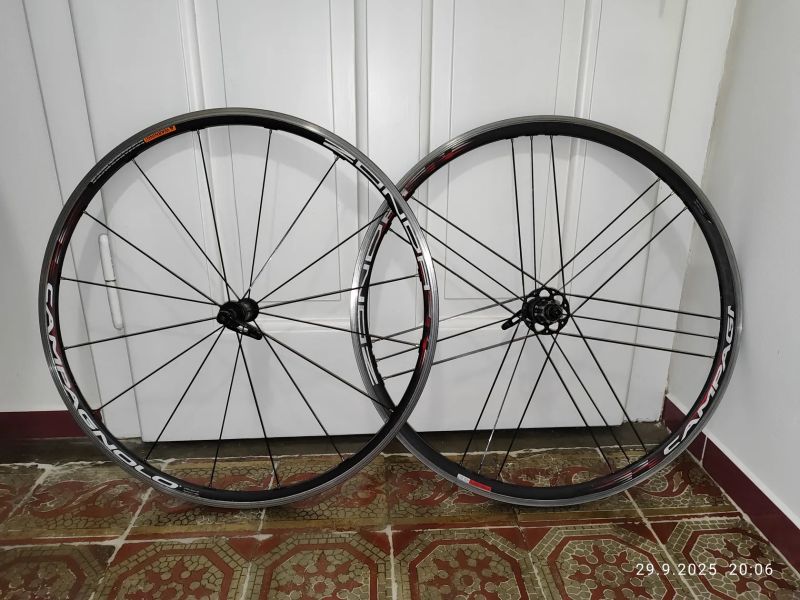 Campagnolo