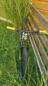 Scott Scale 710