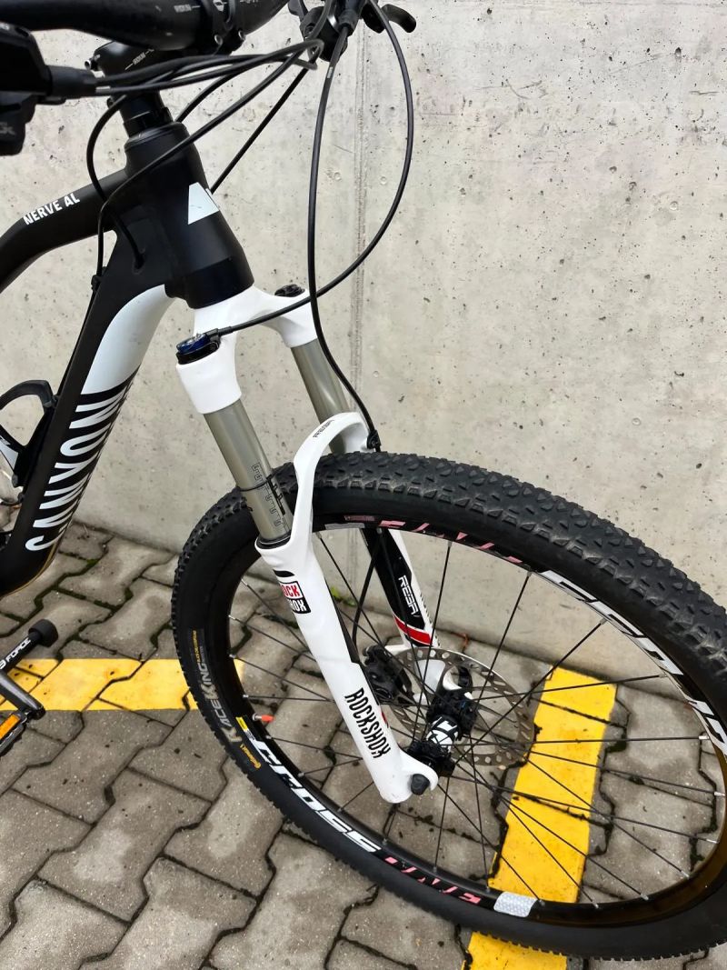 Canyon Nerve Al 6.0