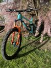 Trek remedy/slash