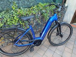 elektrokolo Flyer Gotour 6 3.40 Comfort