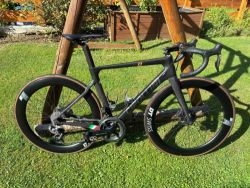 Cipollini BOND