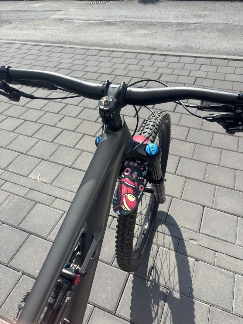 Specialized Status 160