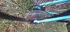 Trek Marlin 7 2022