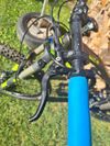 Canyon Nerve AL 6.0
