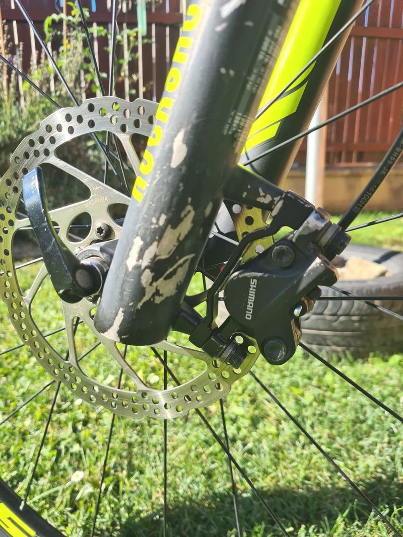Canyon Nerve AL 6.0
