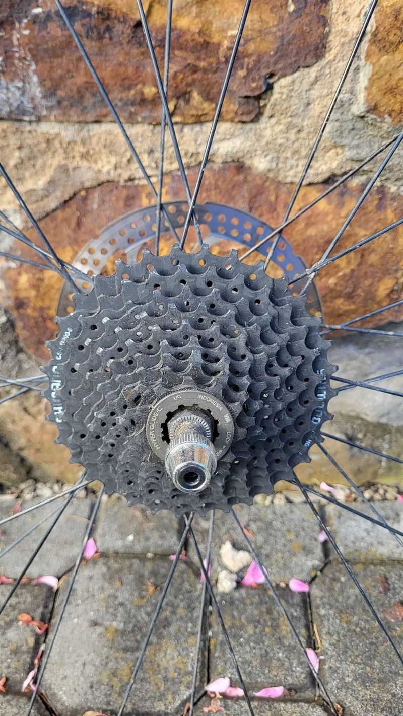 Ráfky WTB SX24 700c