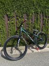 CTM dirtking xpert