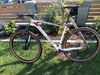 Specialized Stumpjumper HT Comp Carbon 29
