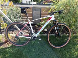 Specialized Stumpjumper HT Comp Carbon 29