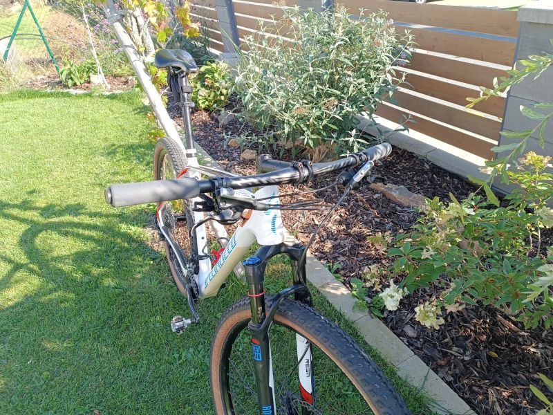 Specialized Stumpjumper HT Comp Carbon 29