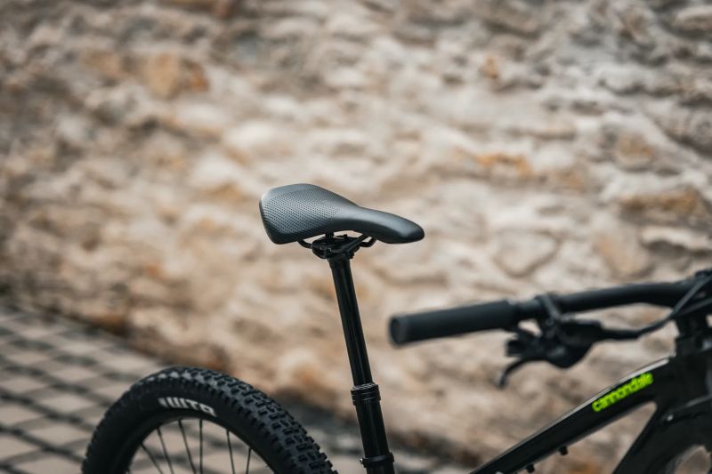 Cannondale Habit HT 