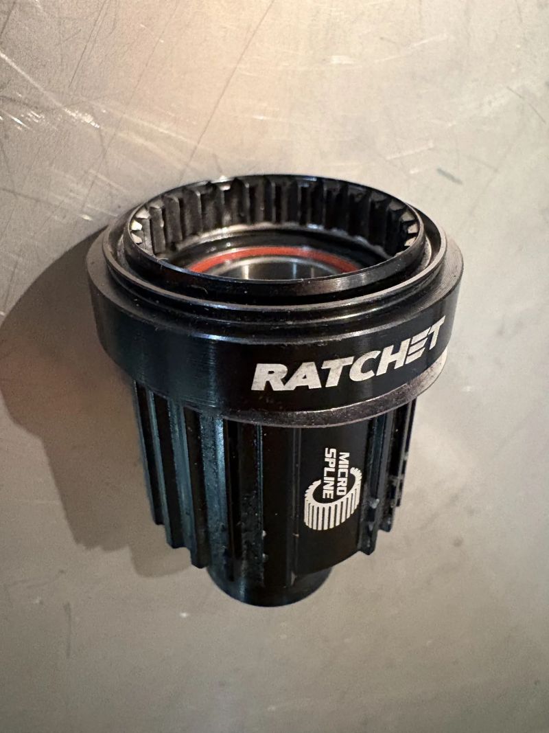 Ořech DT swiss ratchet microspline (z Pivotu firebird 2023, 12x157 suberboost+)